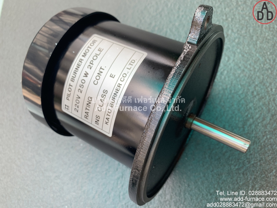 Pilot Burner Motor 220V 200W 2Pole (2)